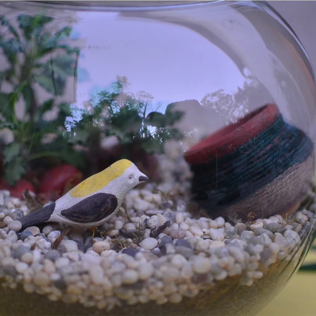 Bird and the Pitcher Terrarium Kit